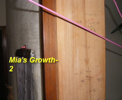 mia-growth-steps-kitchen-kami-igata-until-2006-2.jpg